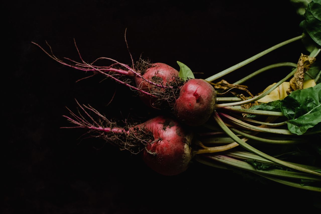 Unearthed beetroot vegetable with stems still intact laid out in leftward-pointing direction atop black background.