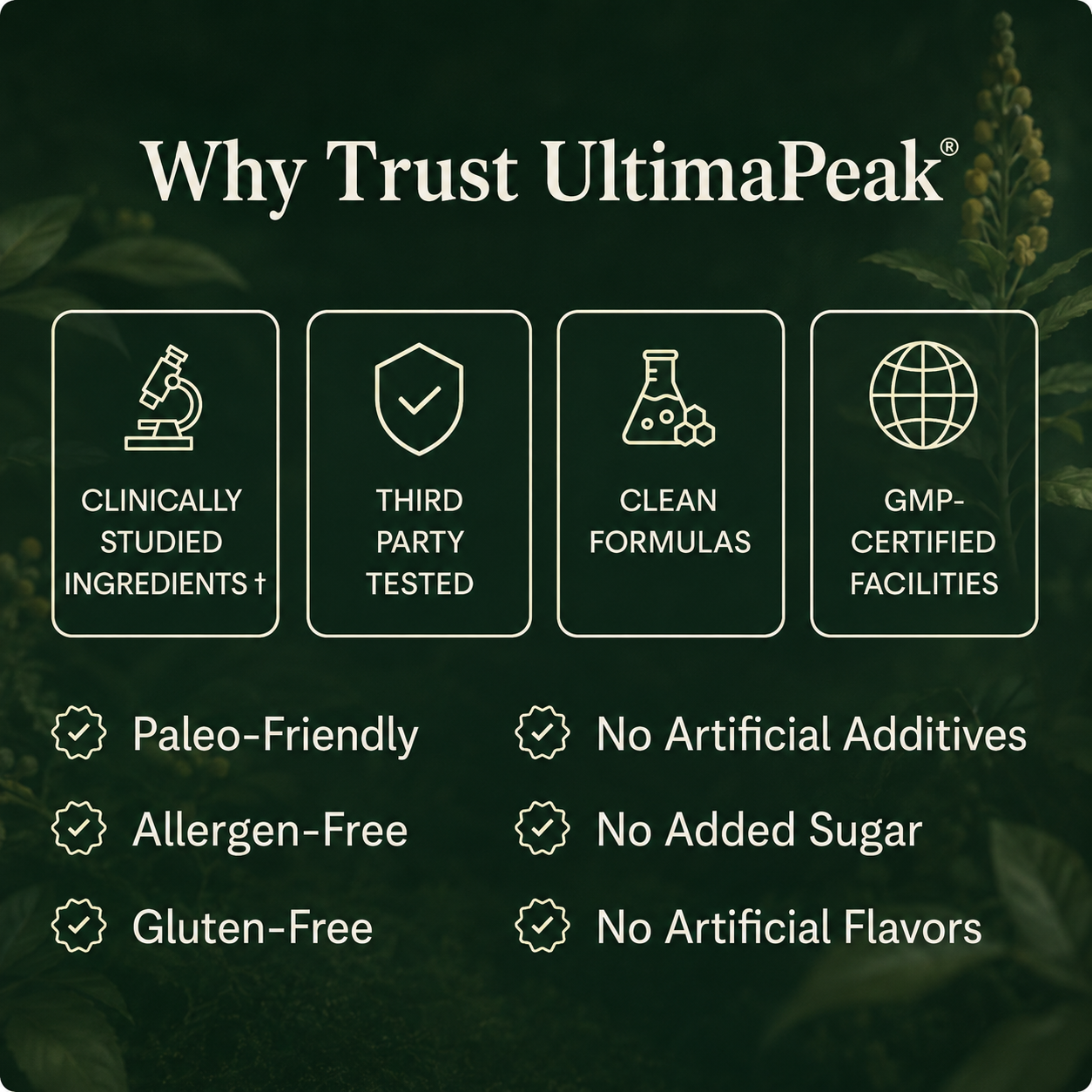 New Maximum Potency Mullein Gummies For Smokers | UltimaPeak®